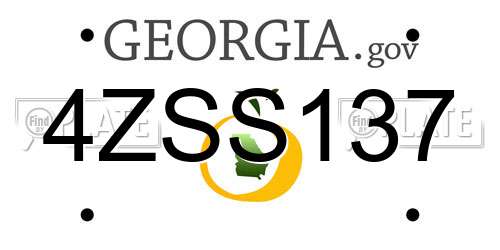 4ZSS137 Georgia License Plate