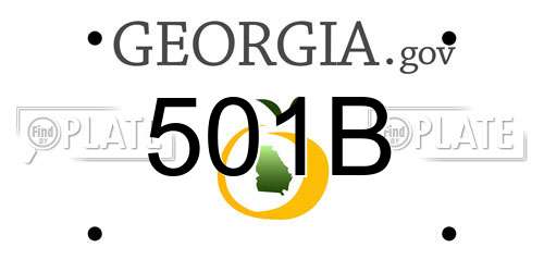 501B Georgia License Plate