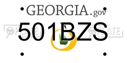 501BZS Georgia License Plate