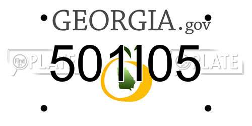 501I05 Georgia License Plate