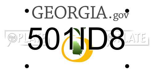 501ID8 Georgia License Plate