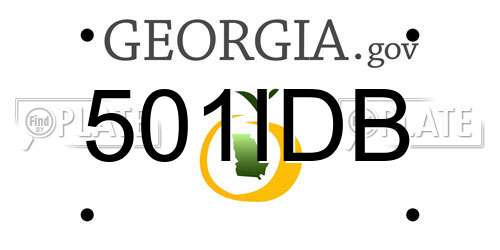 501IDB Georgia License Plate