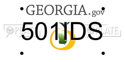 501IDS Georgia License Plate
