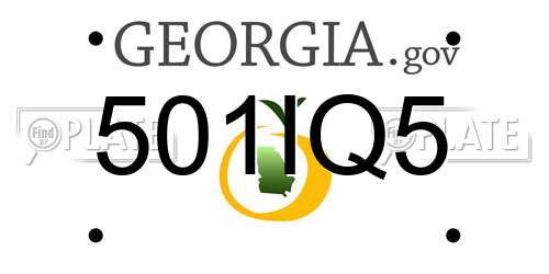 501IQ5 Georgia License Plate