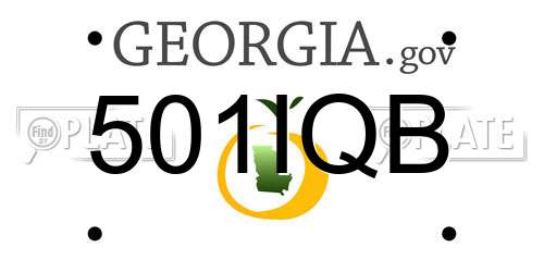 501IQB Georgia License Plate