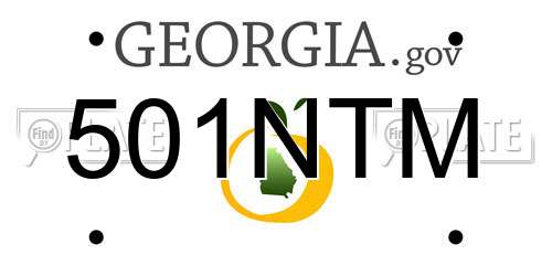501NTM Georgia License Plate