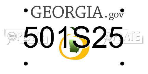 501S25 Georgia License Plate