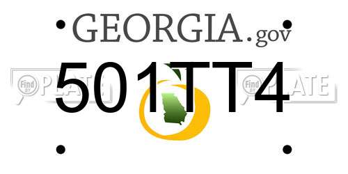501TT4 Georgia License Plate