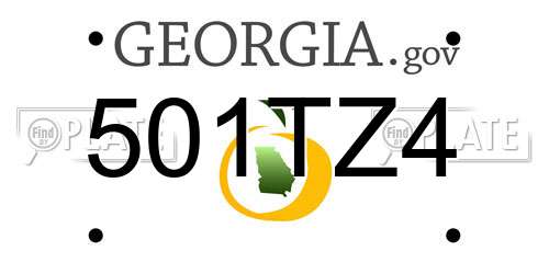 501TZ4 Georgia License Plate