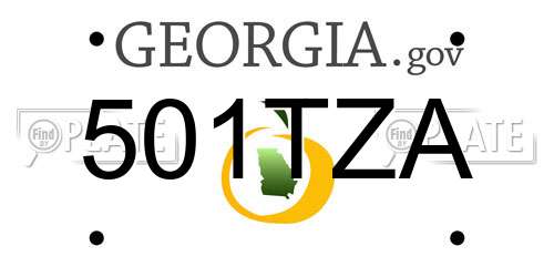 501TZA Georgia License Plate