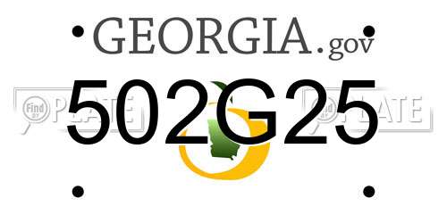 502G25 Georgia License Plate