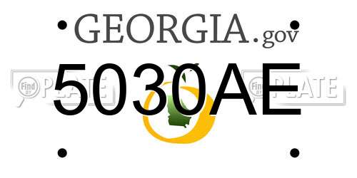 5030AE Georgia License Plate