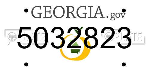 5032823 Georgia License Plate