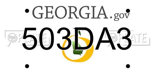 503DA3 Georgia License Plate