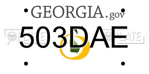 503DAE Georgia License Plate
