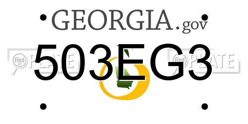 503EG3 Georgia License Plate