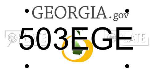 503EGE Georgia License Plate