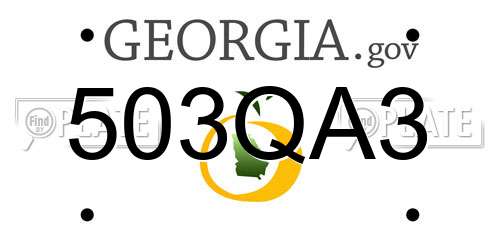 503QA3 Georgia License Plate