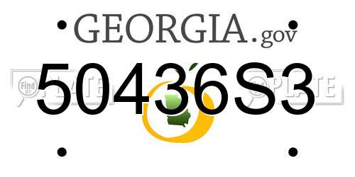 50436S3 Georgia License Plate