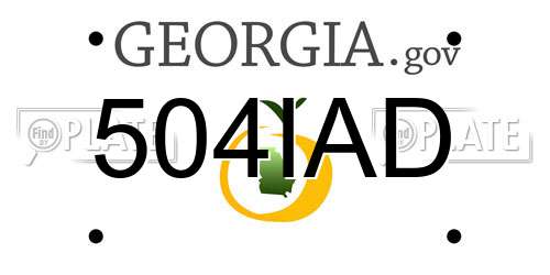 504IAD Georgia License Plate