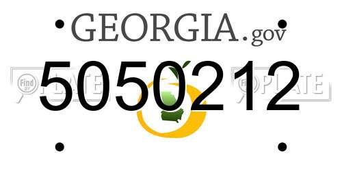 5050212 Georgia License Plate