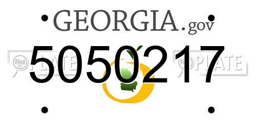 5050217 Georgia License Plate