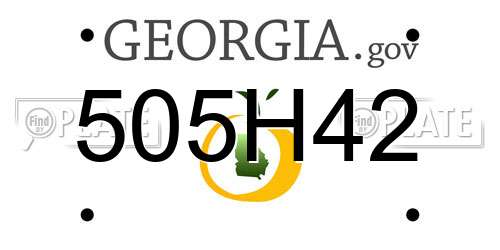 505H42 Georgia License Plate