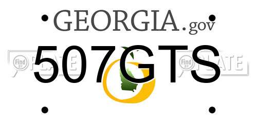507GTS Georgia License Plate