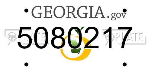 5080217 Georgia License Plate