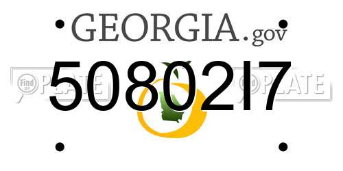 50802I7 Georgia License Plate