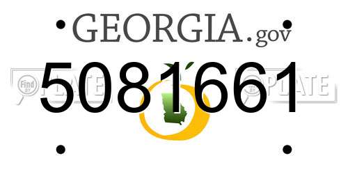 5081661 Georgia License Plate