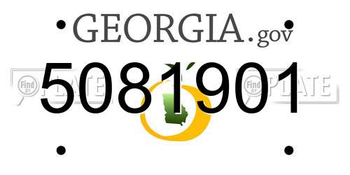 5081901 Georgia License Plate