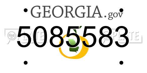 5085583 Georgia License Plate
