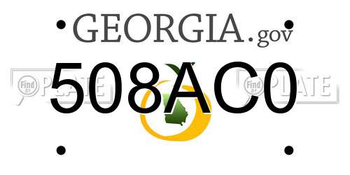 508AC0 Georgia License Plate