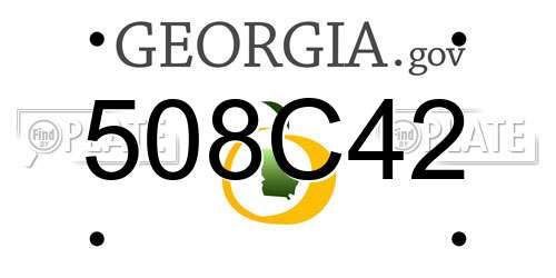 508C42 Georgia License Plate