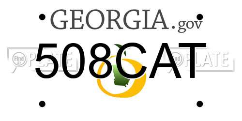 508CAT Georgia License Plate