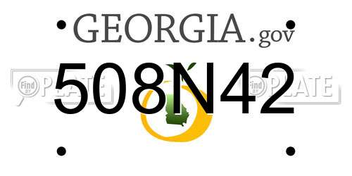 508N42 Georgia License Plate