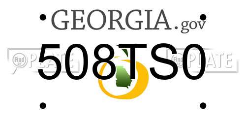 508TS0 Georgia License Plate