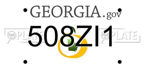 508ZI1 Georgia License Plate