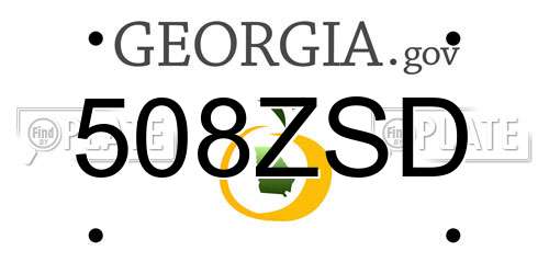 508ZSD Georgia License Plate