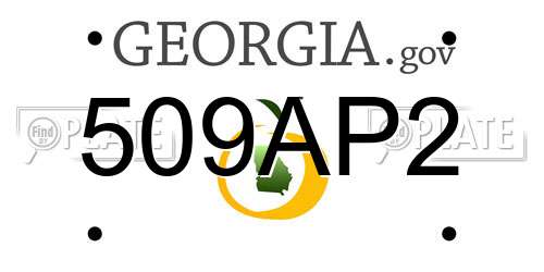 509AP2 Georgia License Plate