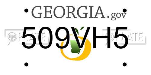 509VH5 Georgia License Plate