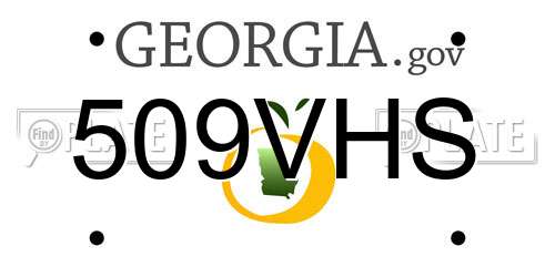 509VHS Georgia License Plate