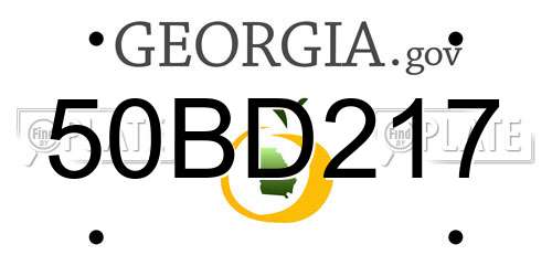 50BD217 Georgia License Plate