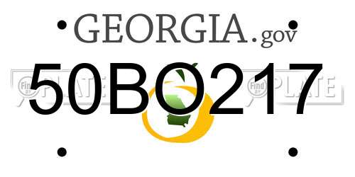 50BO217 Georgia License Plate
