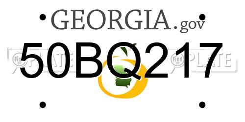 50BQ217 Georgia License Plate