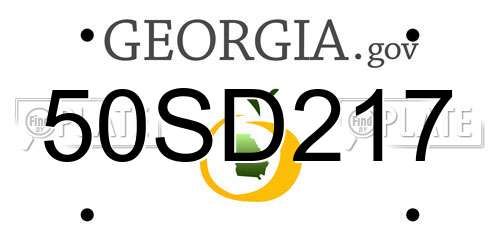 50SD217 Georgia License Plate