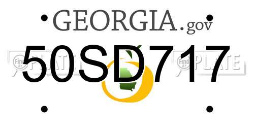 50SD717 Georgia License Plate