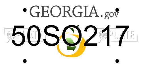 50SO217 Georgia License Plate