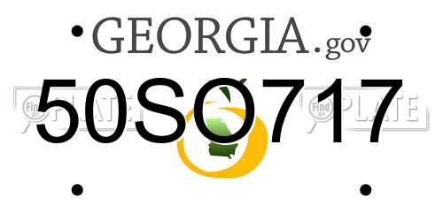 50SO717 Georgia License Plate